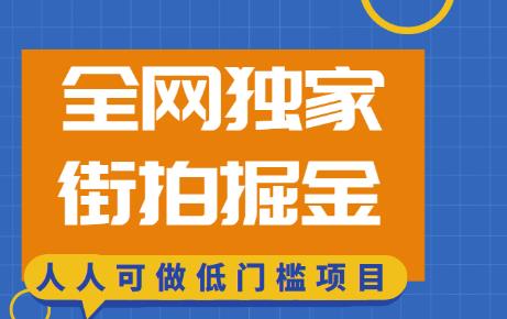 全网独家一街拍掘金，低门槛人人可做的賺米项目【揭秘】