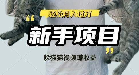 利用老外躲猫猫大赛视频，挣分成收益，操作简单，新手小白，轻松月入过W