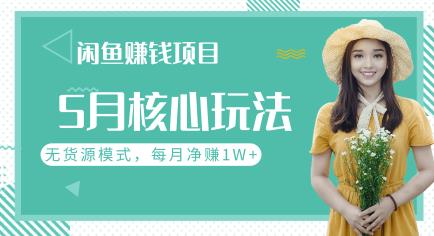 闲鱼賺米项目5月核心玩法，无货源模式批量操作，每月净赚1W+（共2节视频）