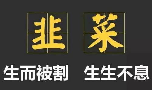 揭秘职业培训老师们的賺米套路，一个韭菜2万利润！