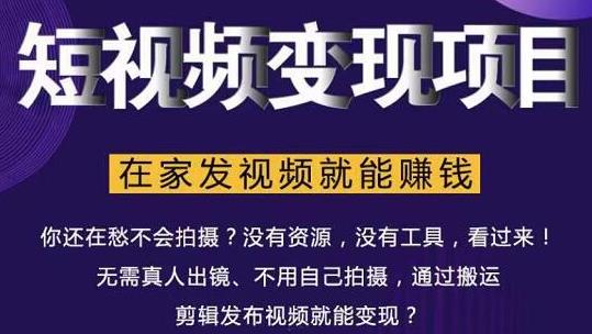 随风短视频变现项目：从0到1教你打造爆款短视频变现，在家发视频就能賺米