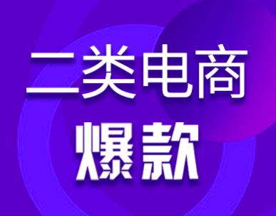 聊一个小众的电商项目——二类电商，类似1688无货源，但重广告投放。