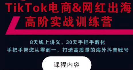 TikTok电商&网红出海高阶实战训练营：30天手把手孵化，打造高质量海外抖音账号
