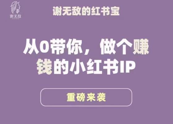 谢无敌·小红书运营大宝典，从0带你做个賺米的小红书IP