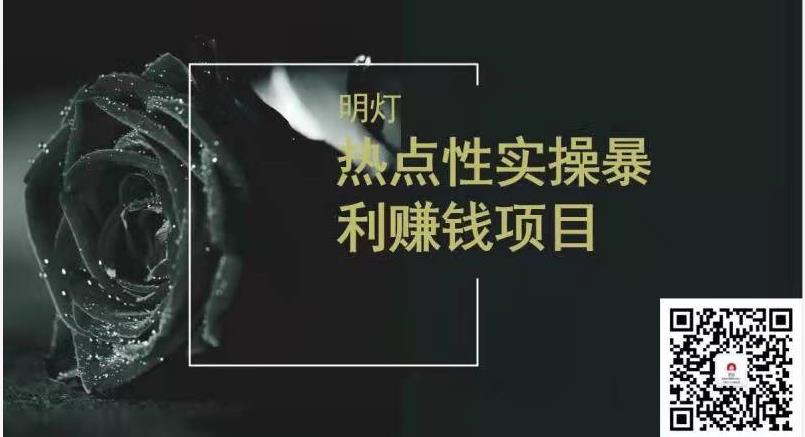 明灯副业三十六条小妙招之第21招热点性賺米项目