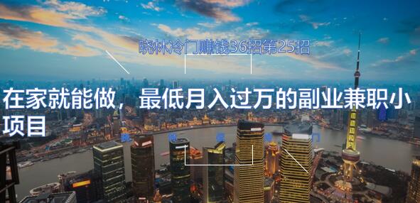 晓林冷门賺米36招第25招在家就能做，最低月入过万的副业兼zhi小项目【视频课程】