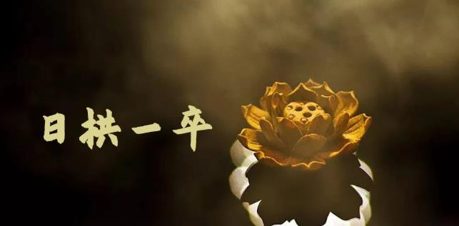 月入8000+，无脑搬砖，普通人可以复制的副业賺米项目(附软件)