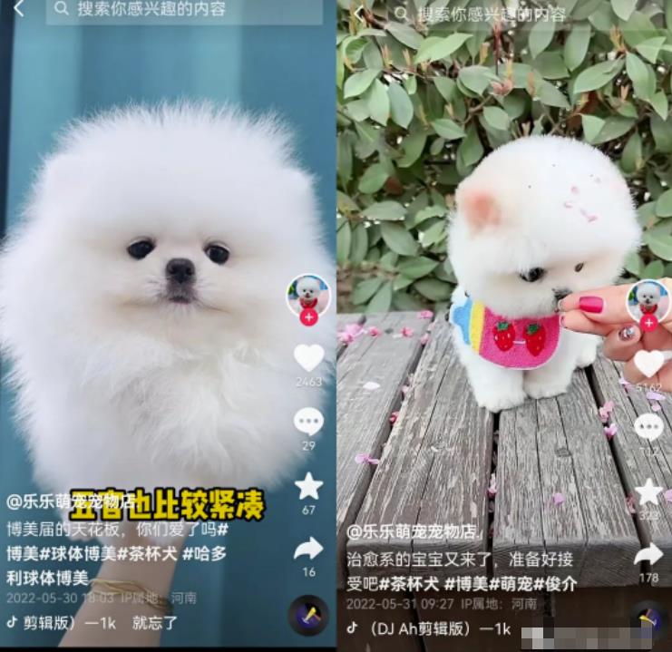 无脑短视频搬砖賺米思路，轻松月入1W+，在家即可躺赚！