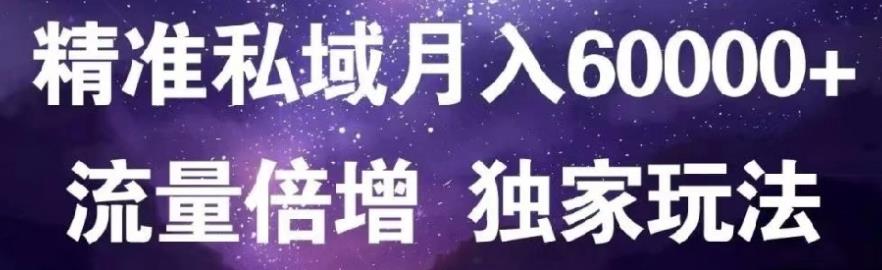 原力网创精准私域月入60000+,流量倍增独家玩法