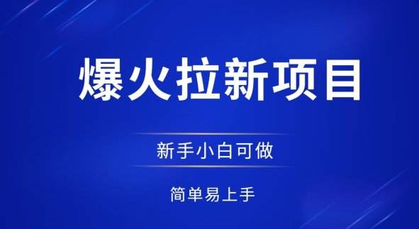 爆火拉新项目，有手就行，小白轻松入门，日入1张拉新整套流程