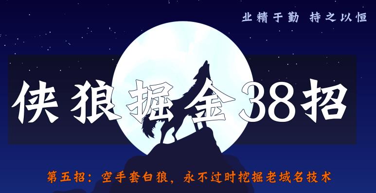 侠狼掘金38招第5招空手套白狼，永不过时挖掘老域名技术【视频课程】