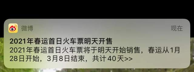 过年刚需项目，利用信息差日赚500+，代购火车票了解下！