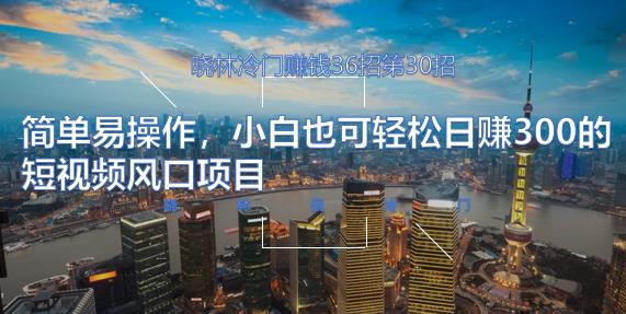 晓林冷门賺米36招第30招简单易操作，小白也可轻松日赚300的短视频风口项目【视频课程】