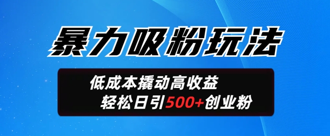 暴力吸粉玩法，日引500+精准创业粉，日变现轻松多张