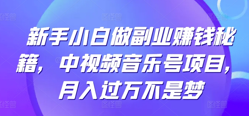 新手小白做副业賺米秘籍，中视频音乐号项目，月入过万不是梦