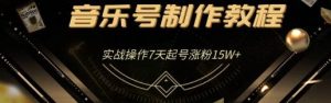 蓝深抖音超级干货-音乐号制作教程，实战操作7天起号涨粉15W+（全套课程）无水印