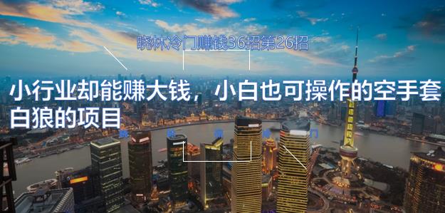 晓林冷门賺米36招第26招小行业却能赚大钱，小白也可操作的空手套白狼的项目【视频课程】