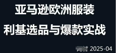 跨境电商选品案例24-25年，聚焦跨境电商选品策略与运营优化，助力卖家挖掘蓝海市场