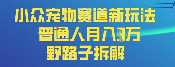 小众宠物赛道新玩法，普通人月入过1W的野路子拆解