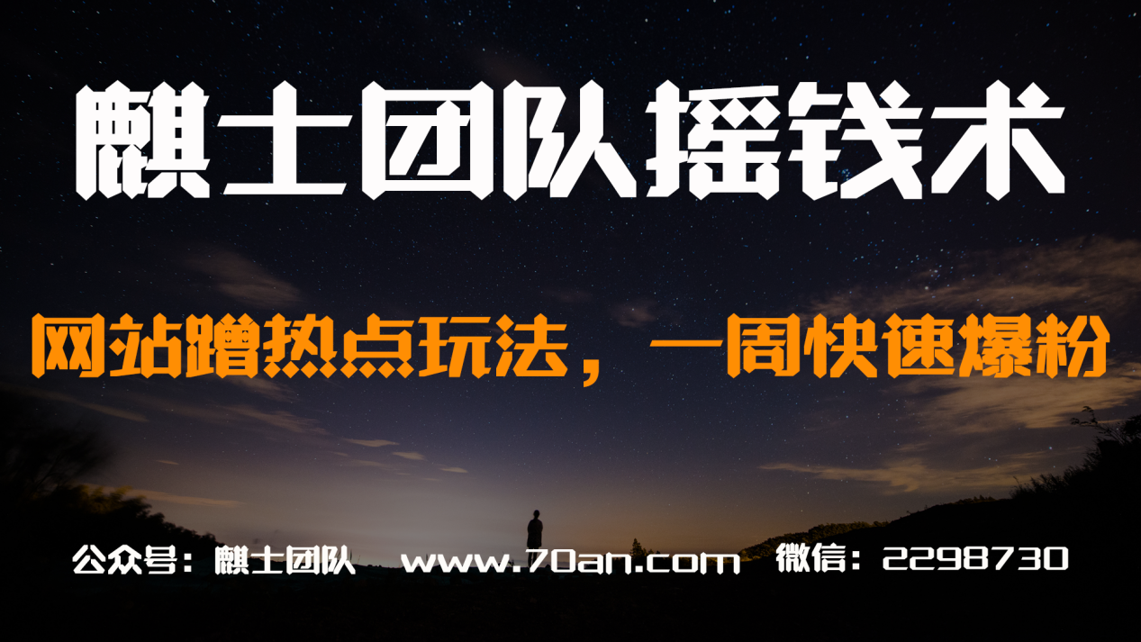麒士团队摇钱术15：网站蹭热点玩法，一周快速爆粉【视频课程】