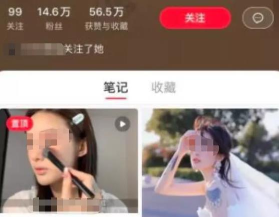 一个简单賺米项目，自媒体派单月入过万
