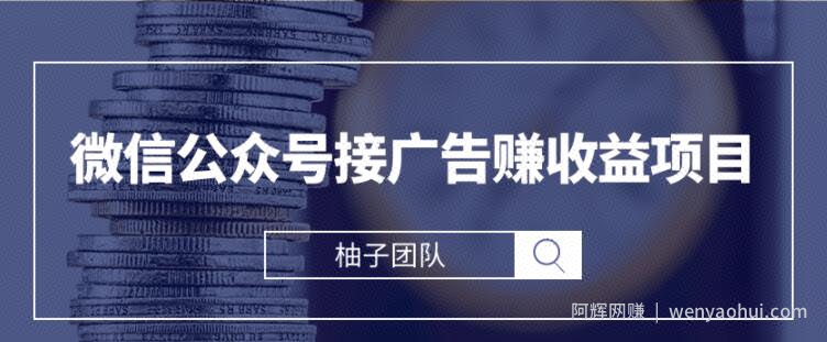 微信公众号接广告赚收益项目，新手零基础也能操作月入万元【视频课程】