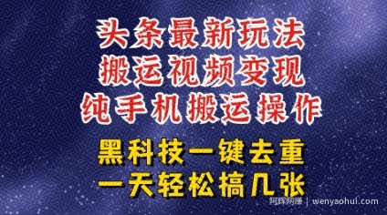 今日头条纯搬运玩法，轻松过原创不违规，轻松日入三位数，稳的很