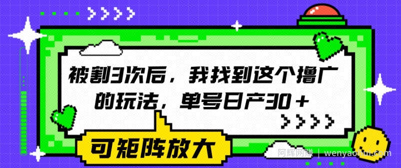 被割3次后，我找到这个撸广的玩法，单号日产30+，可矩阵放大