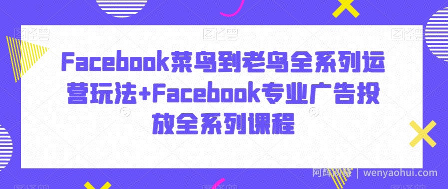 Facebook菜鸟到老鸟全系列运营玩法+Facebook专业广告投放全系列课程