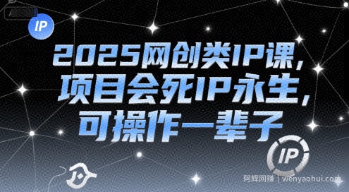 2025网创类IP课，项目会死IP永生，可操作一辈子
