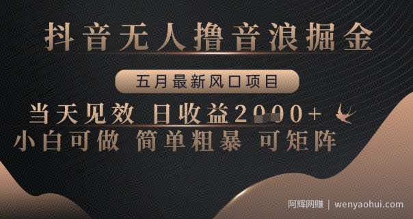 抖音无人撸音浪掘金，五月最新风口项目，当天见效，日收益多张，小白可做简单粗暴可矩阵【揭秘】