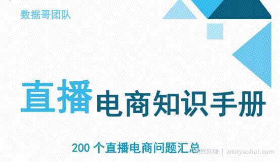 数据哥千川：抖音电商200个干货问题知识手册资料包