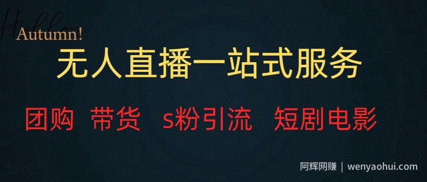 无人直播一站式服务（教程以及变现方式）