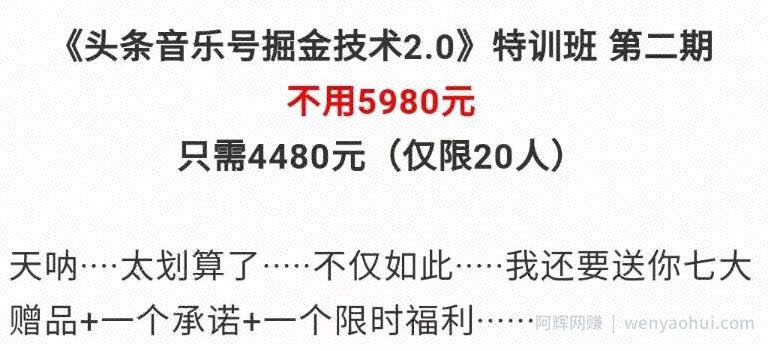 网创副业项目：价值4480元的全套头条音乐号项目！免费分享