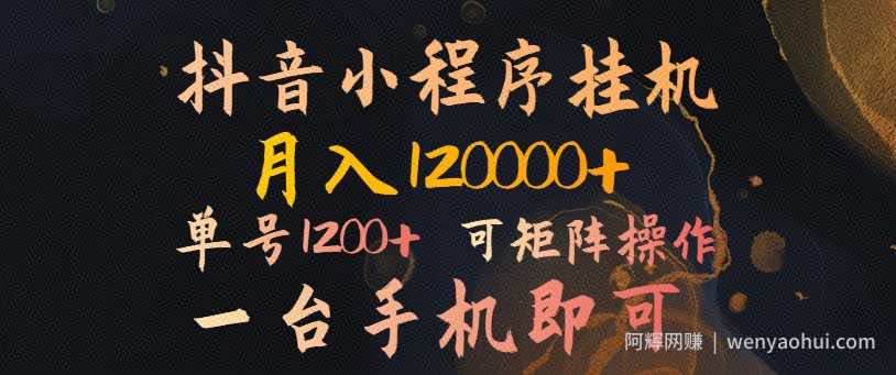 抖音小程序挂机风口项目，月入1.2w，一台手机即可操作，可矩阵操作