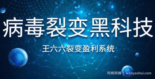 王六六裂变盈利系统课程第六课，病毒裂变黑科技（附课堂里的配图）