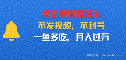 男粉项目新玩法，不发视频，不封号，一鱼多吃，月入过W
