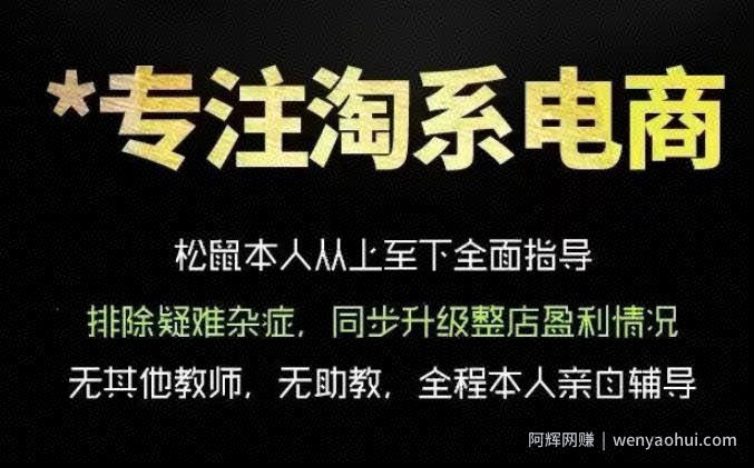 松鼠会电商VIP课程，从基础布局到高阶优化，助你掌握淘宝运营逻辑，提升店铺流量与转化（更新0711）