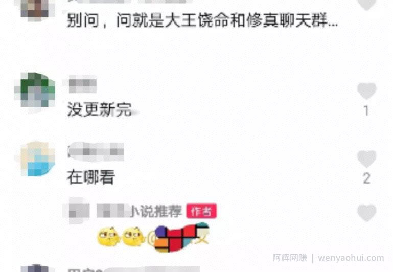 小说分销暴利賺米项目，日引万粉的另类玩法