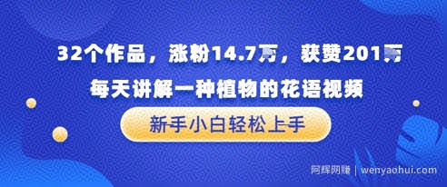 32个作品，涨粉14.7W，获赞201W，每天讲解一种植物的花语视频，无需任何技巧，新手小白轻松上手