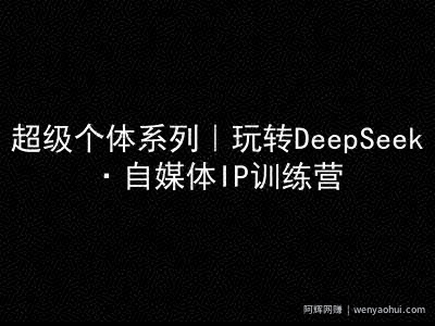 超级个体系列，玩转DeepSeek·自媒体IP训练营，deepseek教程