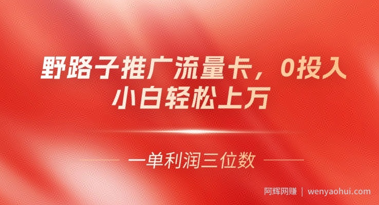 野路子推广流量卡，一单利润上百，0投入，小白轻松上万