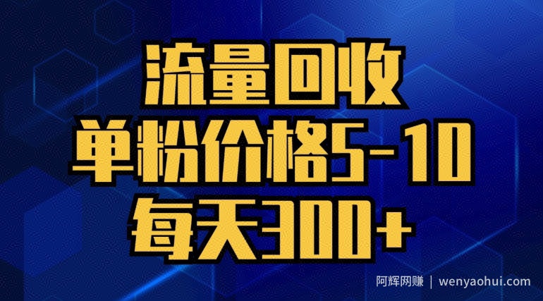 流量回收，单粉价格5-10，每天300+，轻松月入五位数