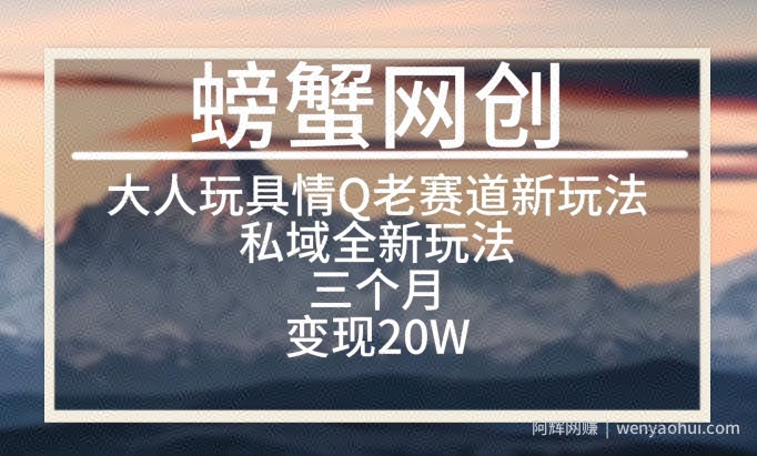 大人玩具情Q用品赛道私域全新玩法，三个月变现20W，老项目新思路【揭秘】