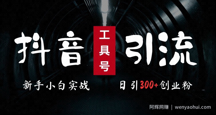 2024最新抖音工具号引流玩法,高效日引300+创业粉,当天变现5k,小白也可成为实战高手
