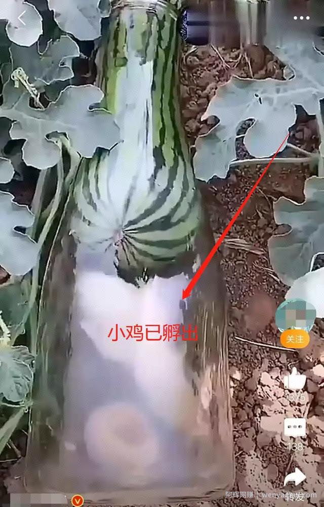 “流浪大师”走红了，自媒体人受到了哪些启发？