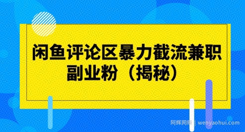 闲鱼评论区暴力截流兼zhi副业粉(揭秘)