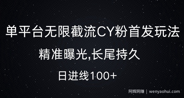 单平台无限截流创业粉首发玩法，精准曝光，长尾持久，日引流100+【揭秘】