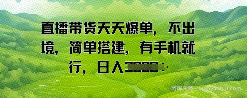 直播带货天天爆单，不出境，简单搭建，有手机就行，日入多张