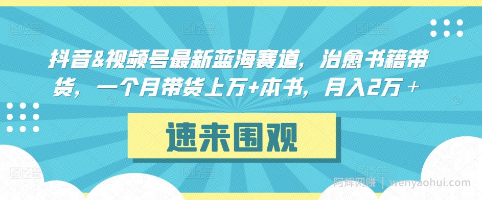 抖音&视频号最新蓝海赛道，治愈书籍带货，一个月带货上万+本书，月入2万＋【揭秘】